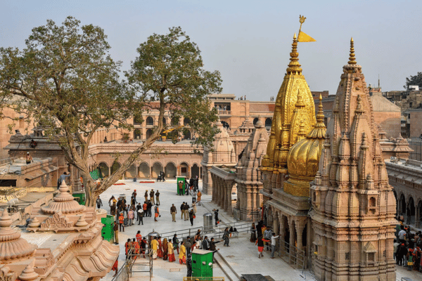 VIP Darshan